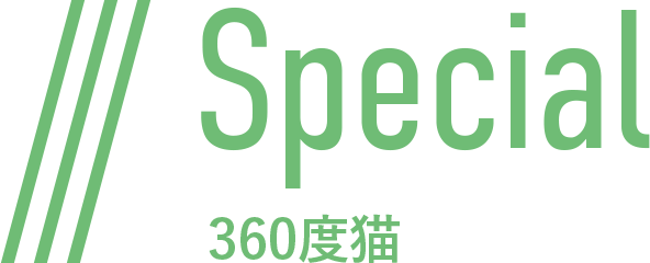 Special 360度猫